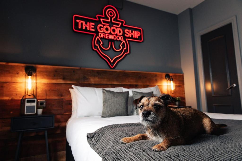Brewdog Kennels - Aberdeen Luaran gambar